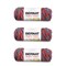 Bernat Super Value Sedona Sunset Variegated Yarn - 3 Pack of 141g/5oz - Acrylic - 4 Medium (Worsted) - 275 Yards - Knitting/Crochet